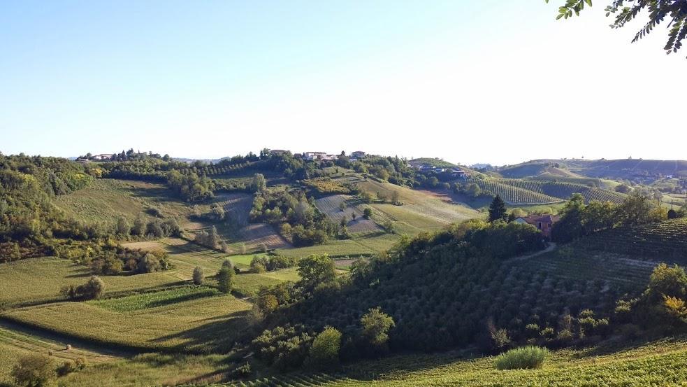 Alta Villa The Countryhouse Adults Only Boutique Bnb Vigliano d'Asti 외부 사진